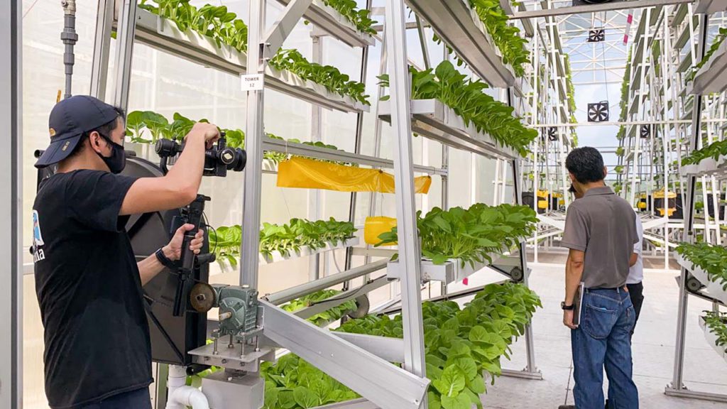 Food Manufacturing & Singapore Farm Video Production