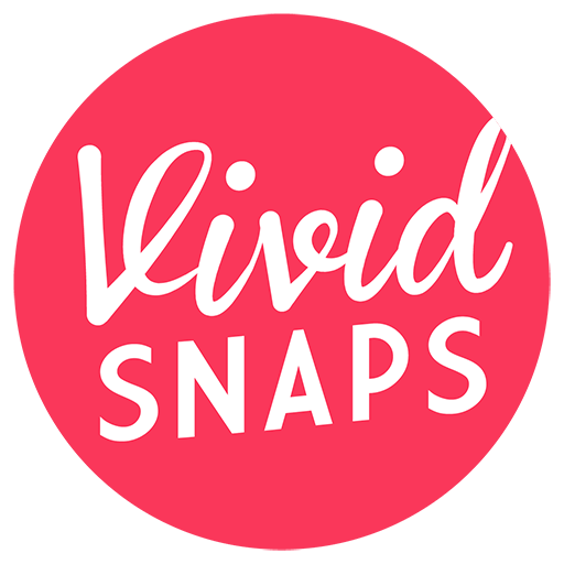 Video Production Company Singapore Vivid Snaps Logo