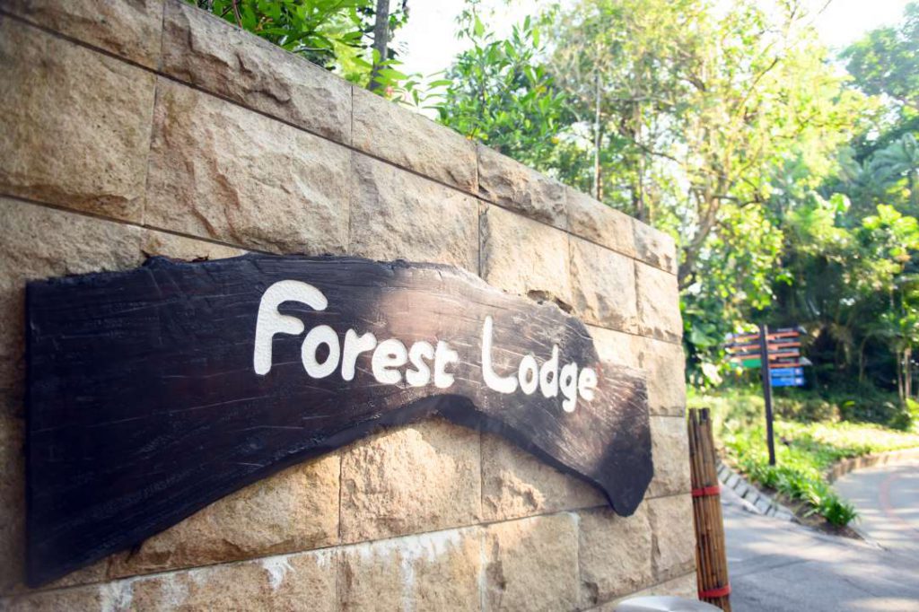 Event Photographer & Videographer at Forest Lodge Singapore Zoo