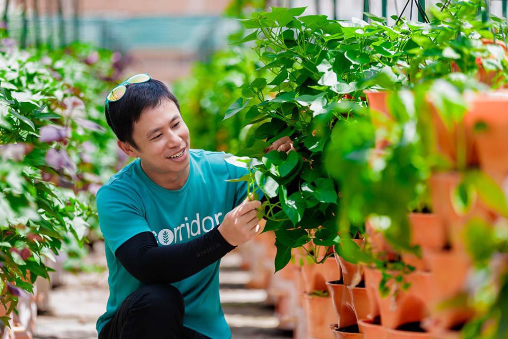 On-the-job photo studio in an outdoor farm